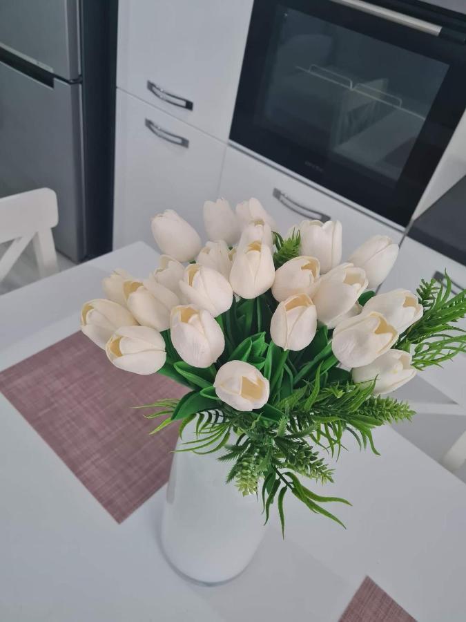 Sweet Home Sfintu Ilie ภายนอก รูปภาพ