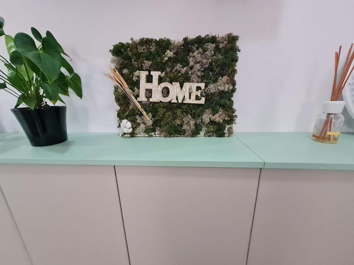 Sweet Home Sfintu Ilie ภายนอก รูปภาพ